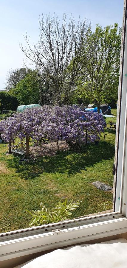 Wisteria House Chanteloup (Deux-Sevres) Exterior foto