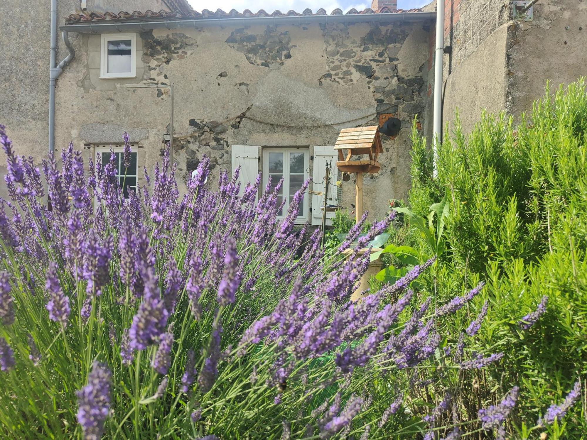 Wisteria House Chanteloup (Deux-Sevres) Exterior foto