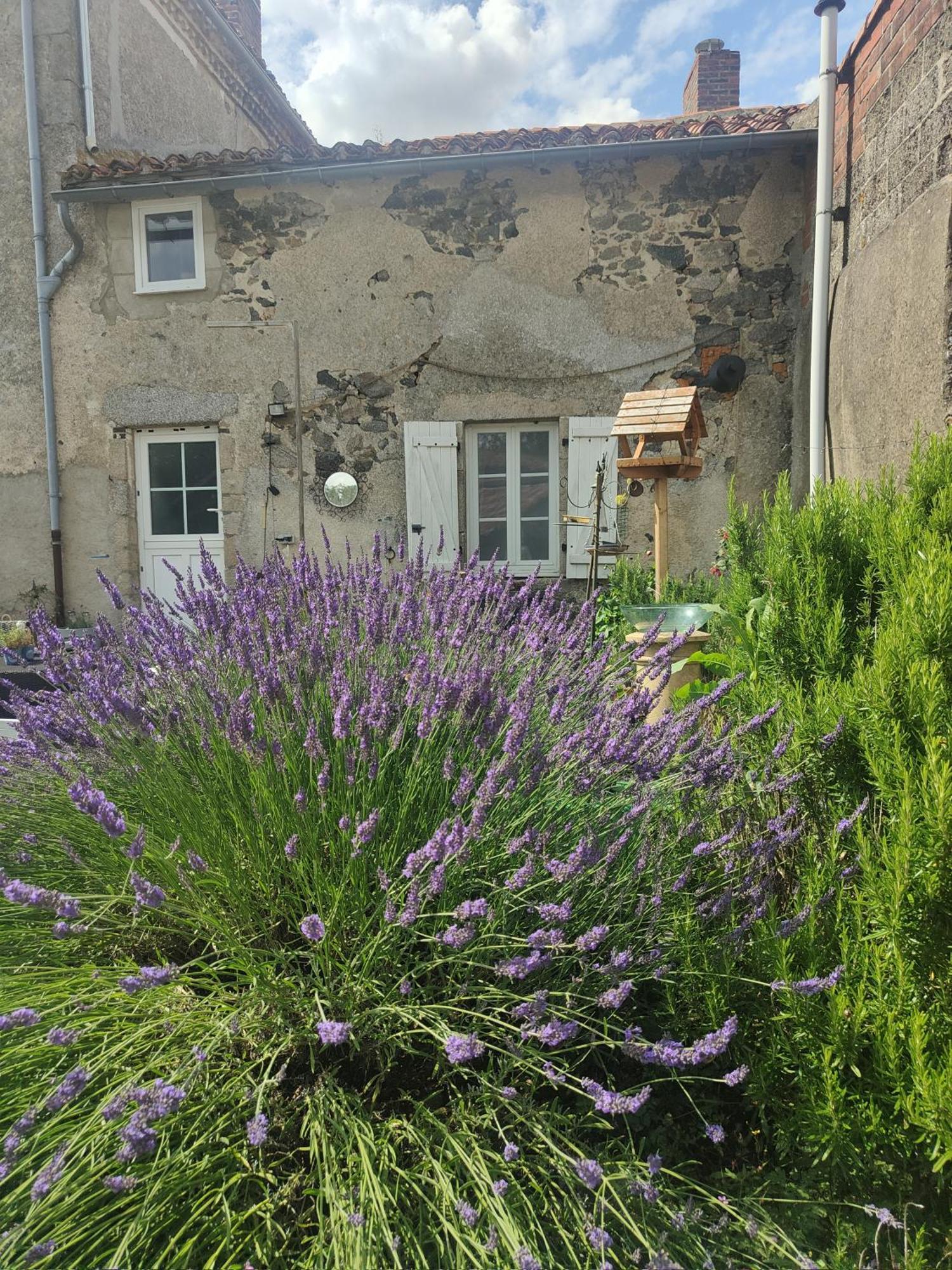 Wisteria House Chanteloup (Deux-Sevres) Exterior foto