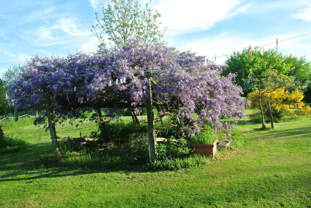 Wisteria House Chanteloup (Deux-Sevres) Exterior foto