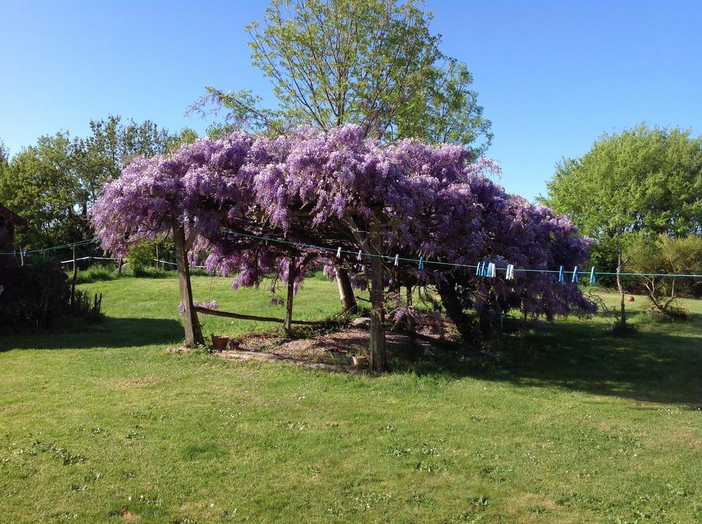 Wisteria House Chanteloup (Deux-Sevres) Exterior foto